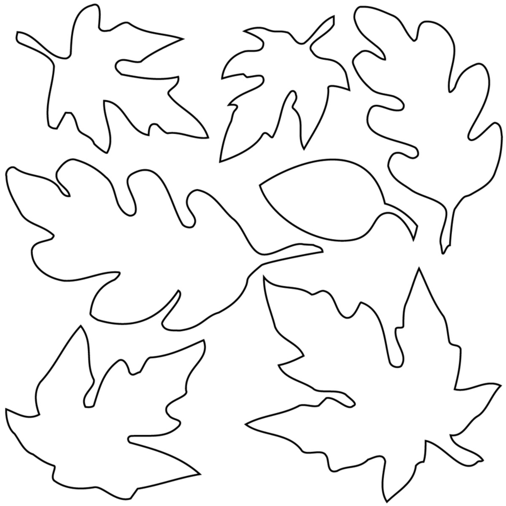 Alcune foglie e una ghianda disegno da colorare