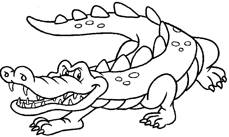 Alligatore disegno da colorare gratis