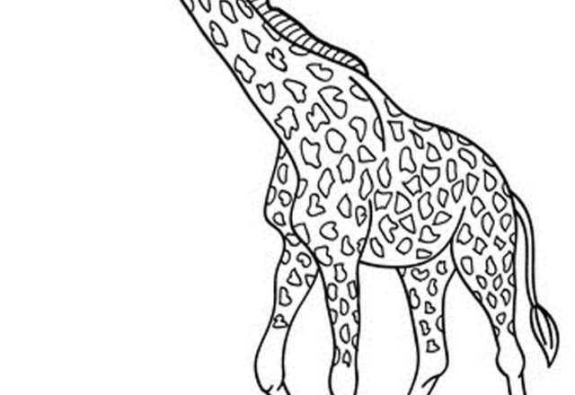 Alta realistica giraffa da stampare e da colorare