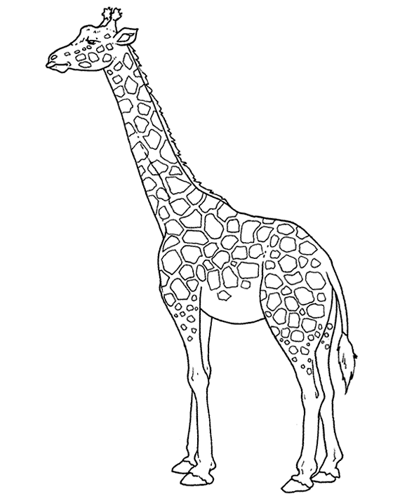 Altra giraffa da stampare e da colorare gratis