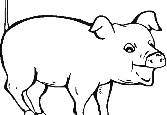 Altro semplice maiale disegno da colorare