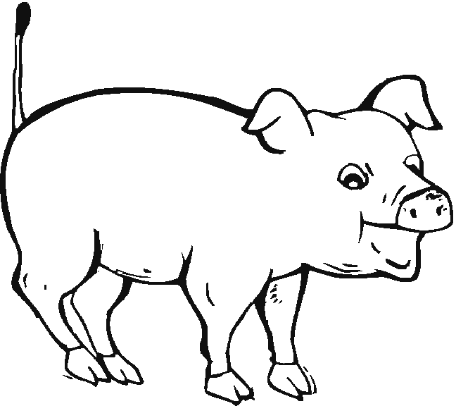Altro semplice maiale disegno da colorare