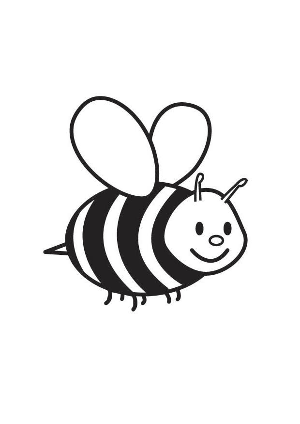 Ape da colorare gratis nella categoria animali api