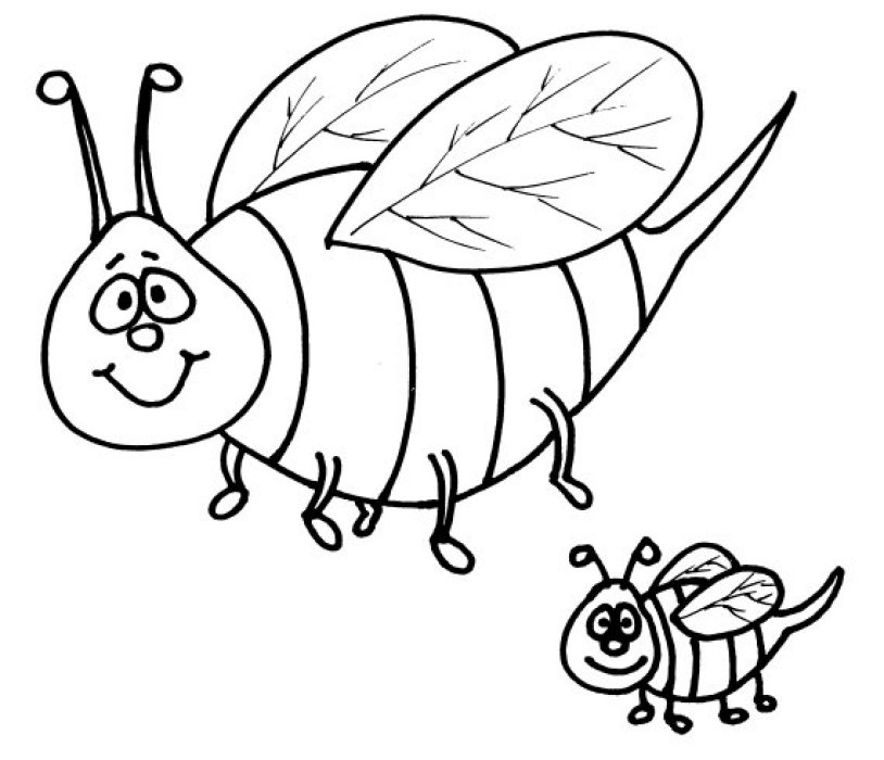 Ape piccola e ape grande disegno da colorare