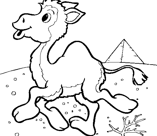 Baby cammello disegno da colorare gratis