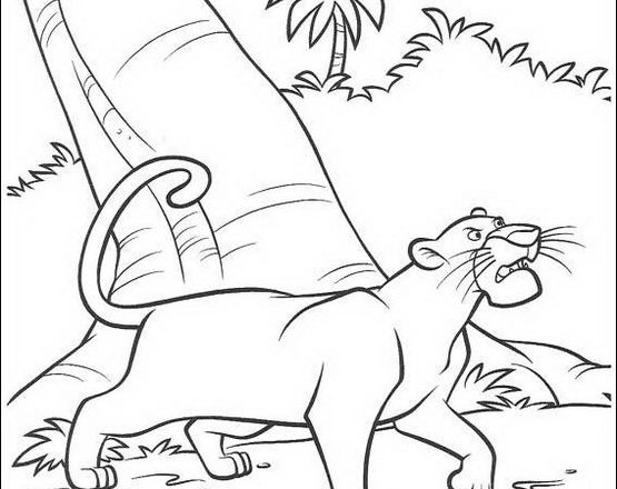 Bagheera disegni da colorare Mowgli e il libro della giungla