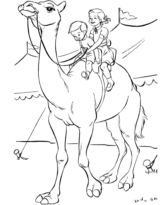 Bambini a cavallo del cammello al circo disegno da colorare