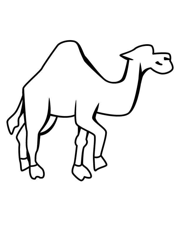 Basilare disegno da colorare del cammello