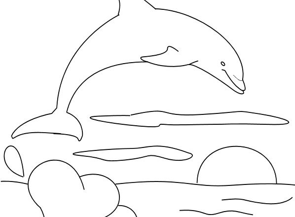 Bel disegno da colorare delfino libero