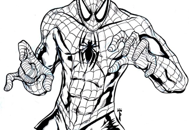 Bel disegno da colorare gratuitamente di Spiderman l’ Uomo Ragno