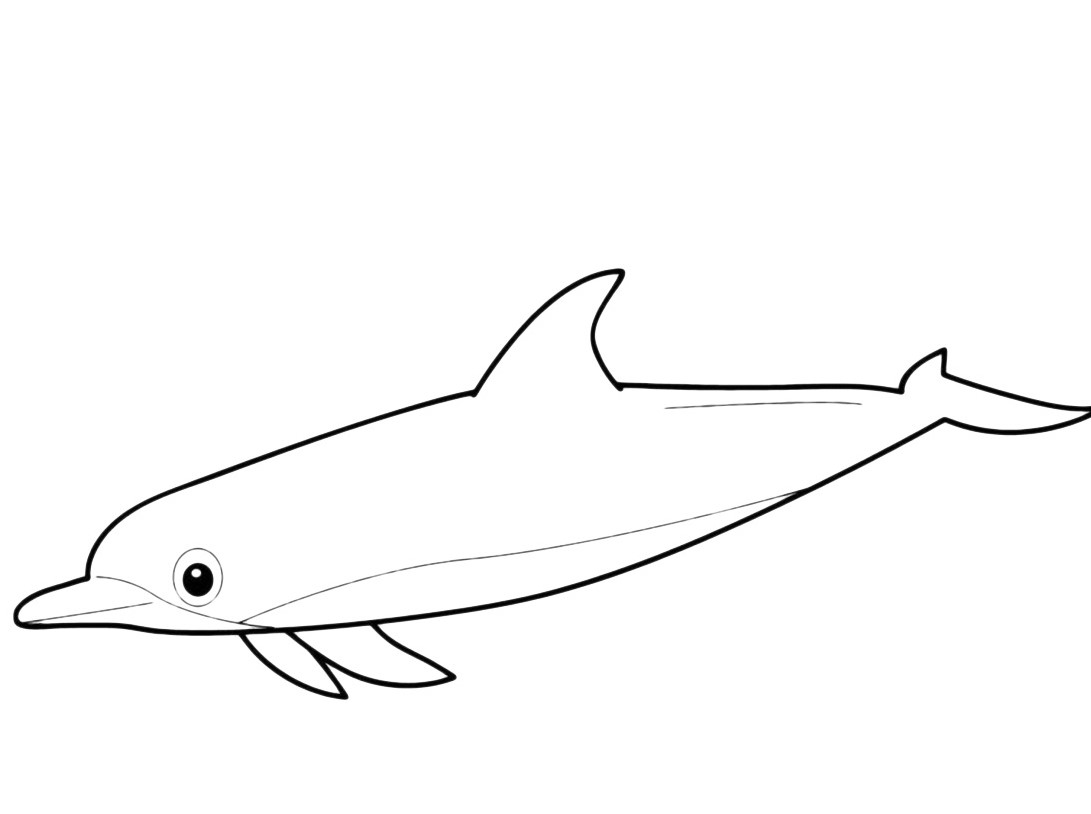Bel disegno da colorare un delfino