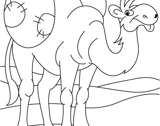 Bizzarro cammello disegno da stampare e da colorare gratis