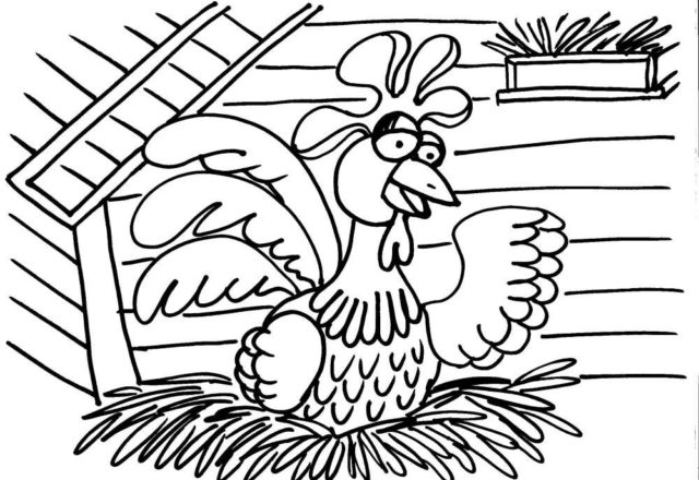Buffa gallina nel pollaio da colorare gratis