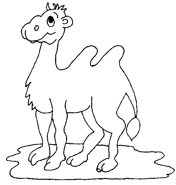 Buffo cammello immagine da stampare e colorare per bambini