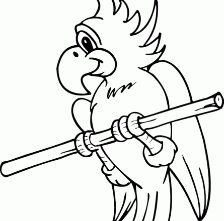 Buffo pappagallo su ramo disegni da colorare gratis