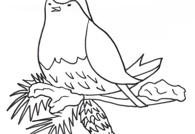 Buffo uccellino sul nido disegni da colorare