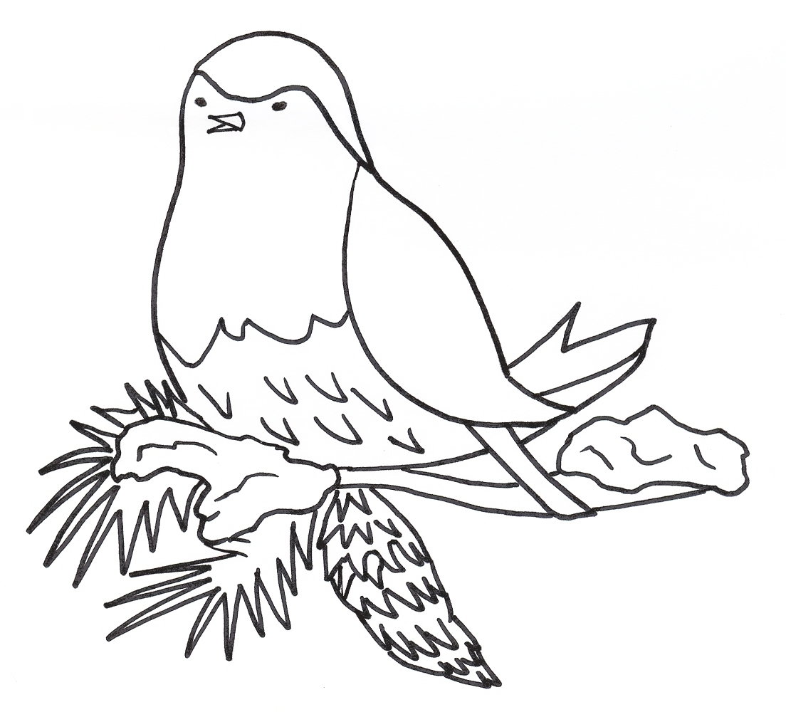 Buffo uccellino sul nido disegni da colorare