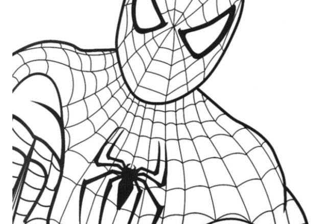 Busto di Spiderman l’ Uomo Ragno da colorare
