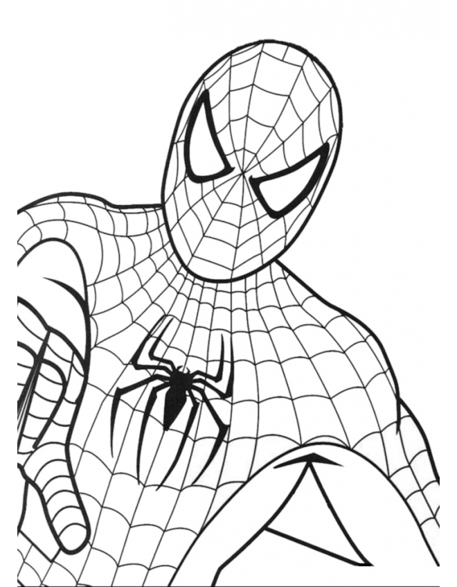 Busto di Spiderman l’ Uomo Ragno da colorare