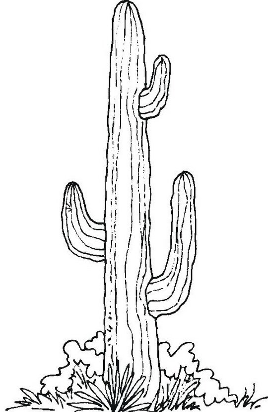 Cactus disegni da colorare dei cowboys