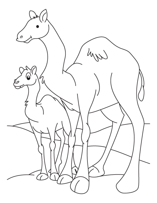 Cammelli mamma e figlio disegno da colorare gratis