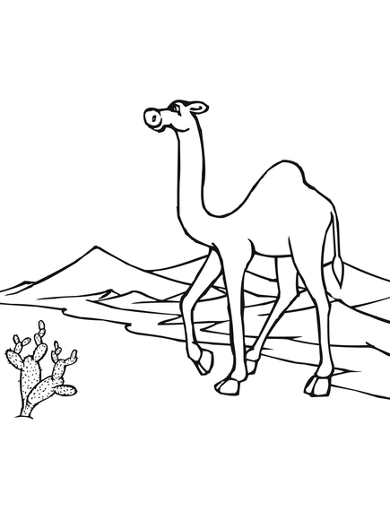 Cammello che cammina nel deserto disegno da colorare gratis