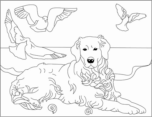 Cane e gabbiani disegni da stampare e da colorare categoria mare