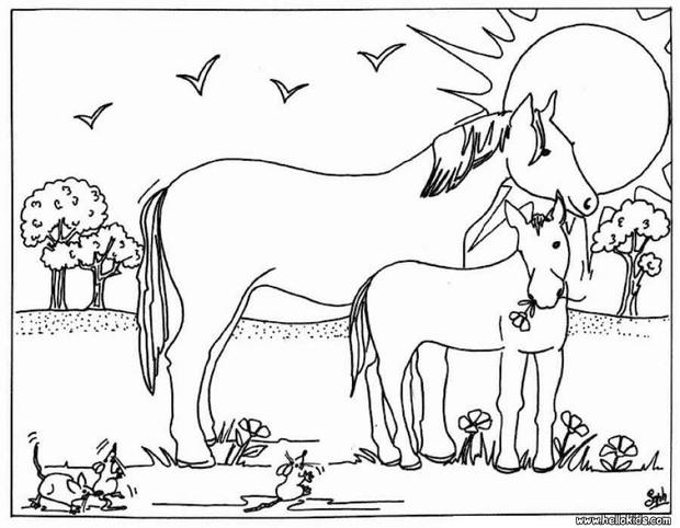 Cavalli felici liberi disegni da colorare gratis