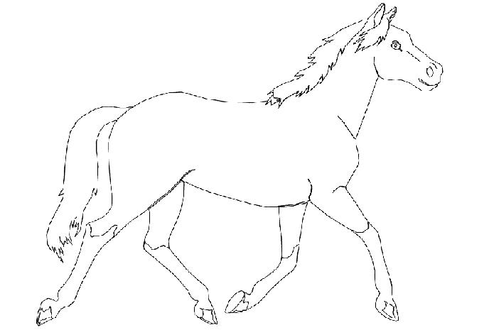 Cavallo che cammina disegno da colorare gratis