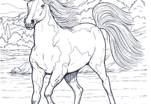 Cavallo che corre libero nella natura disegno da colorare