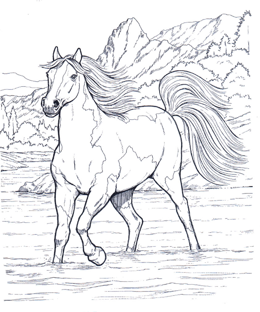 Cavallo che corre libero nella natura disegno da colorare
