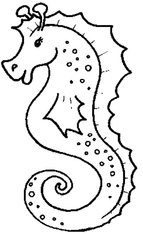 Cavalluccio marino femmina disegni gratis da colorare