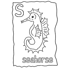 Cavalluccio marino in cornice disegni da colorare gratis