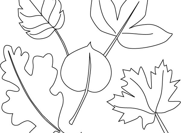 Cinque foglie autunnali immagini da colorare