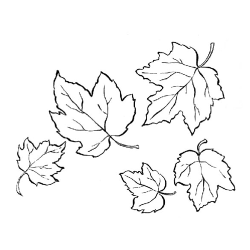 Cinque foglie di diversa grandezza da colorare