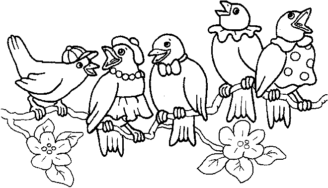 Cinque simpatici uccellini disegni da colorare gratis