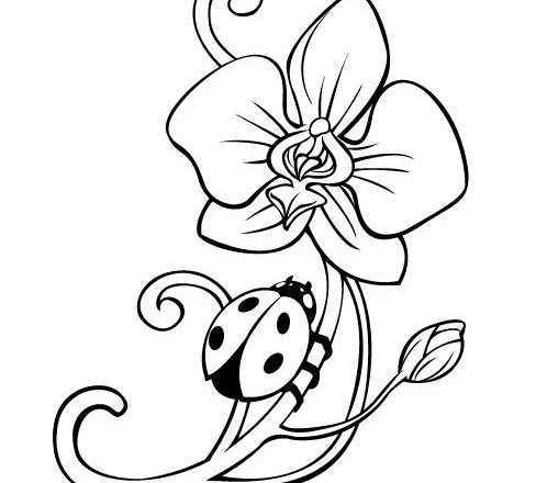 Coccinella che cammina su fiore narciso da colorare