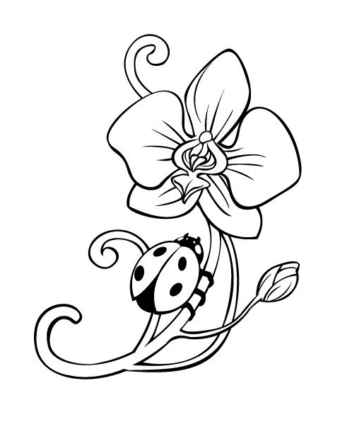 Coccinella che cammina su fiore narciso da colorare