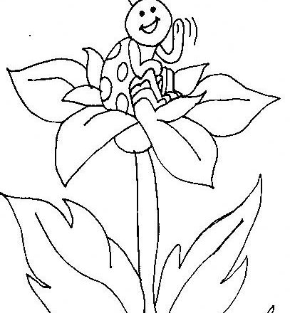 Coccinella seduta su fiore margherita disegno da colorare bambini