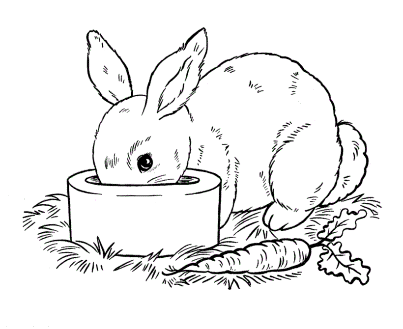 Coniglio che fa la pappa disegno da colorare gratis