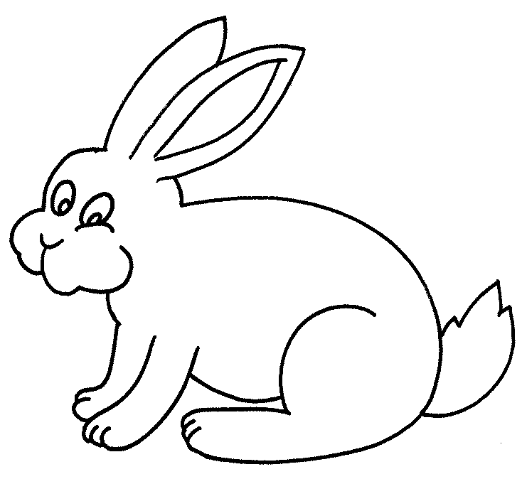 Coniglio disegno da colorare facile