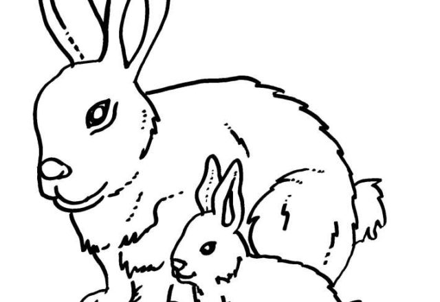Coniglio mamma e coniglio piccolo disegni da colorare gratis