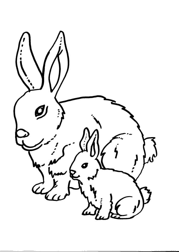 Coniglio mamma e coniglio piccolo disegni da colorare gratis