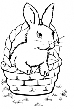 Coniglio nella cesta disegno da colorare