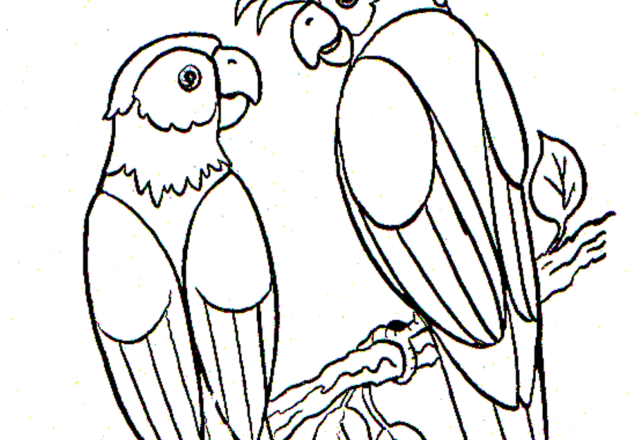 Coppia di pappagalli da stampare e colorare