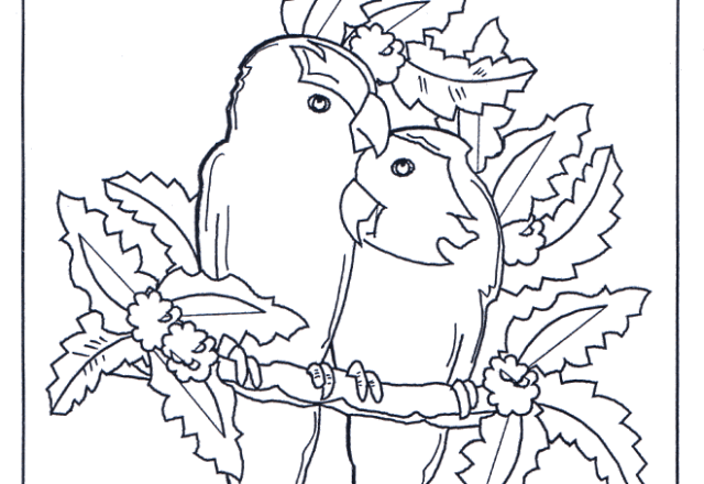 Coppia di pappagalli innamorati disegno da colorare gratis