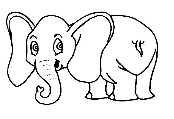 Cucciolo di elefante da colorare per i bambini