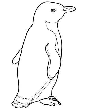 Cucciolo di pinguino immagine da colorare gratis