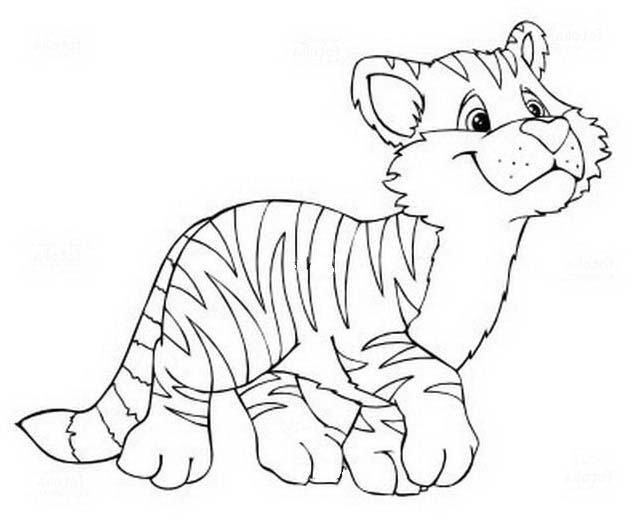 Cucciolo di tigre disegni da stampare