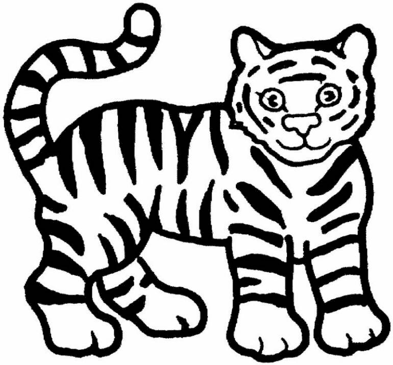 Cucciolo di tigre disegni per bambini gratuiti